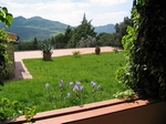 Blick von der Loggia zur Terrasse