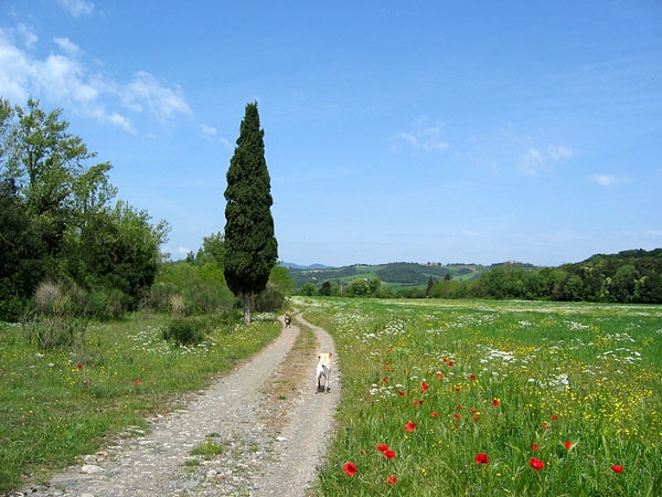 Spaziergang an der Trossa