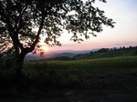 Sonnenuntergang vor dem Gartentor