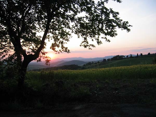 Sonnenuntergang vor dem Gartentor